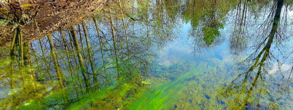 Изумрудный ручей